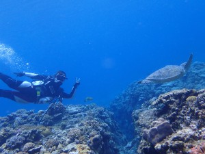 沖縄ダイビングチービシ諸島