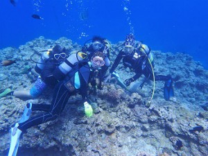 沖縄ダイビング青の洞窟