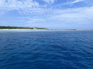 沖縄ダイビング北部,水納島