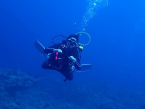 沖縄ダイビング慶良間諸島