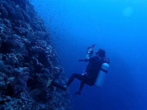 渡名喜島,粟国島ダイビング