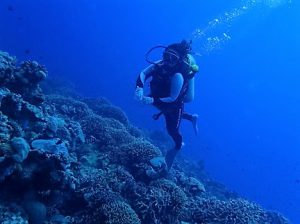 沖縄ダイビング水納島