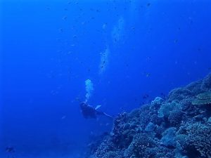 沖縄ダイビング水納島