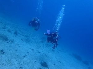 沖縄ダイビング瀬底島