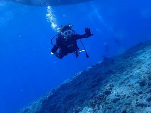 沖縄慶良間諸島ファンダイビング