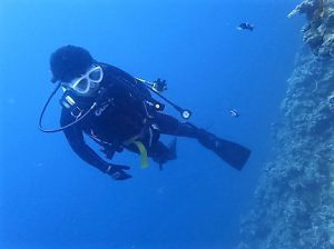 沖縄ダイビング真栄田岬