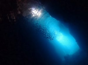 沖縄ファンダイビング青の洞窟