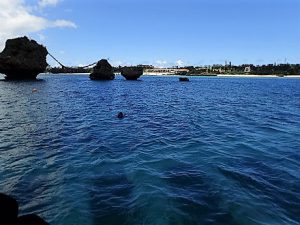 沖縄万座サンゴ植付け