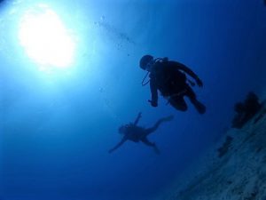 沖縄北部瀬底島ダイビング