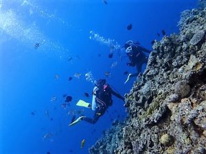 沖縄ダイビングライセンス講習水納島