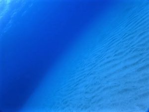 沖縄ダイビング大浦湾