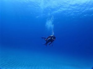 沖縄ダイビング大浦湾