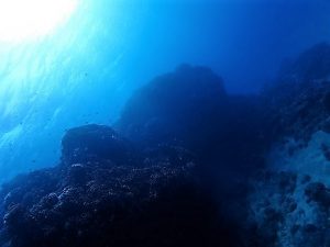 沖縄ダイビング大浦湾