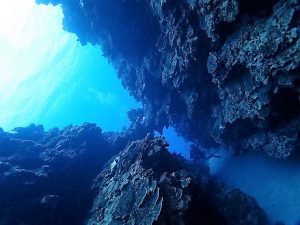 沖縄ファンダイビング大浦湾