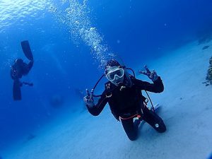 沖縄体験ダイビング慶良間諸島