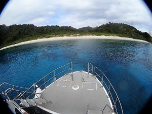 沖縄体験ダイビング慶良間諸島