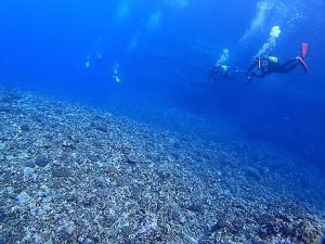 沖縄ダイビング辺戸岬