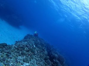 沖縄ダイビングチービシ諸島