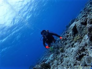 沖縄ダイビングチービシ諸島