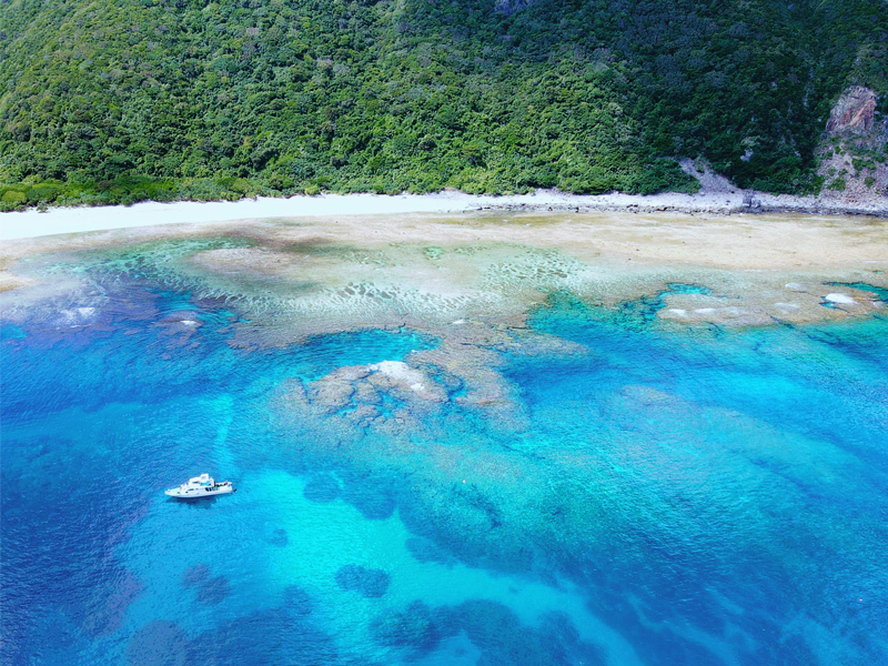 慶良間諸島の魅力